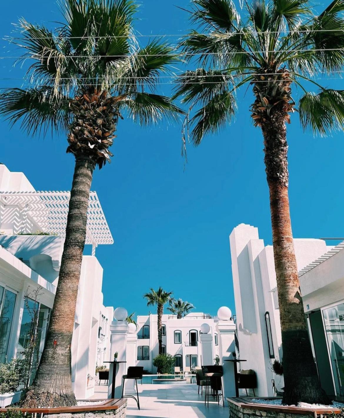 Yalinn Boutique Hotel Yalikavak Exterior photo